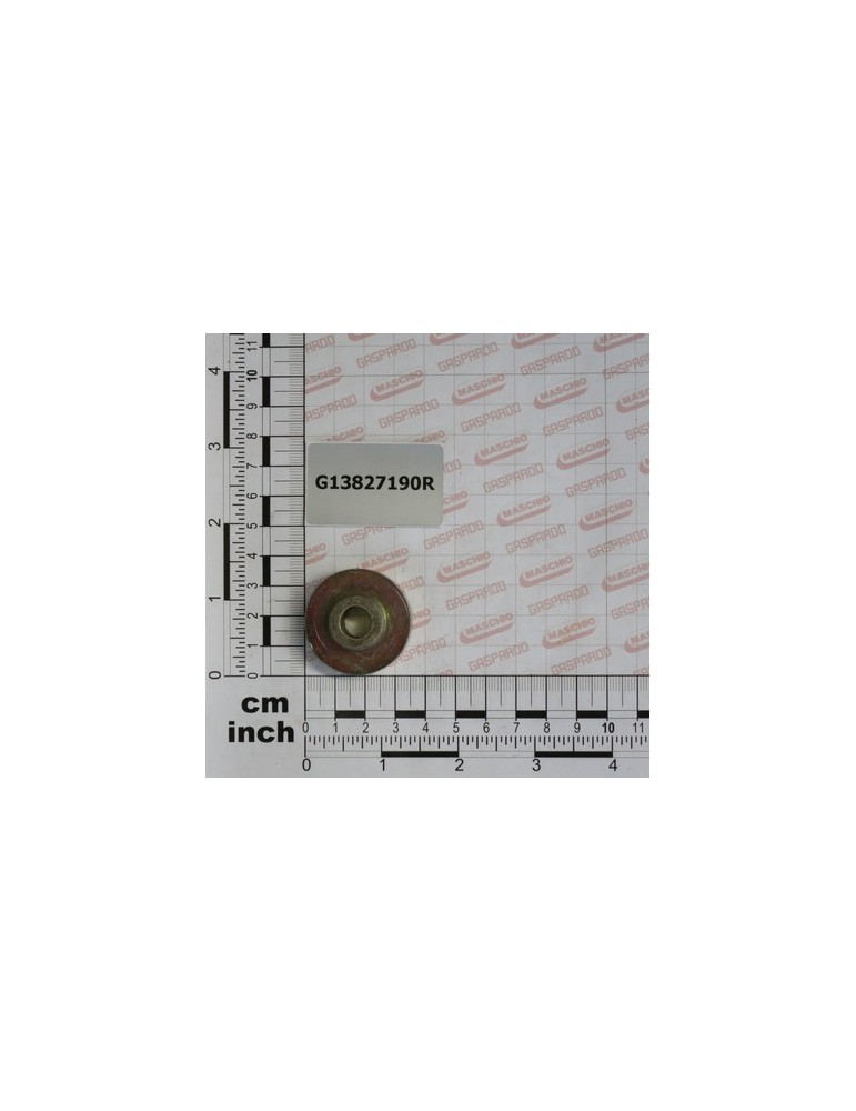 SEED COVER BUSH ZN SK2