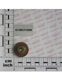 SEED COVER BUSH ZN SK2