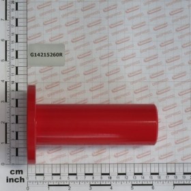 ARM PIN