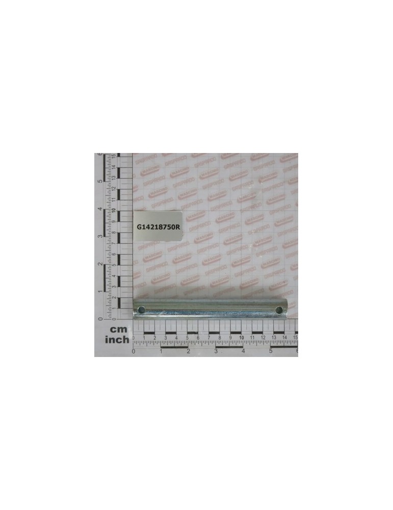 GALVANIZED PIN D.20 X124