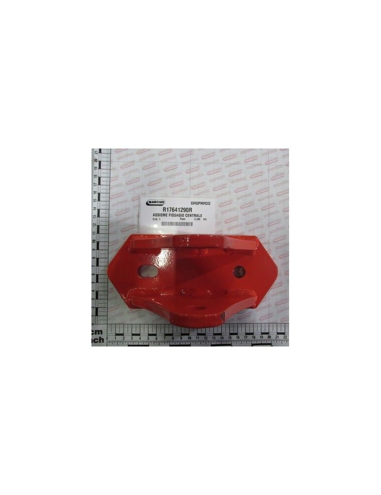 Maschio Gaspardo ANS. FIXARE CENTRALA R17641290R
