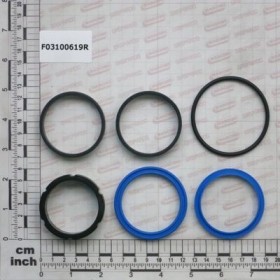 Maschio Gaspardo KIT GUARNIZ.CILINDRO G16111852 F03100619R