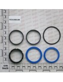 Maschio Gaspardo KIT GUARNIZ.CILINDRO G16111852 F03100619R