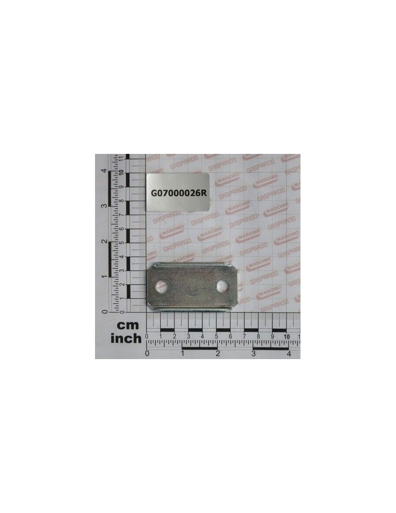Maschio Gaspardo PLACA DINTI ARC ZN G07000026R