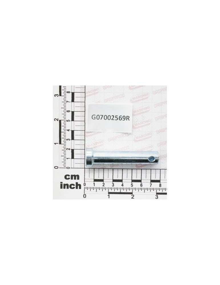 Maschio Gaspardo Pivot G07002569R