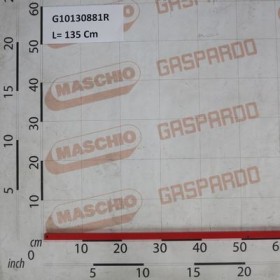 Maschio Gaspardo AX TRANSMISIE L.1350 G10130881R