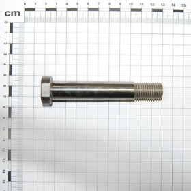 Maschio Gaspardo VITE 16X103 G10740171R