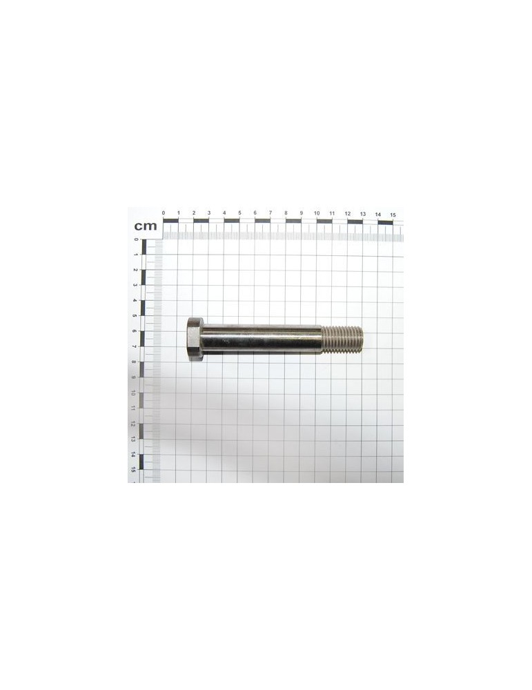 Maschio Gaspardo VITE 16X103 G10740171R