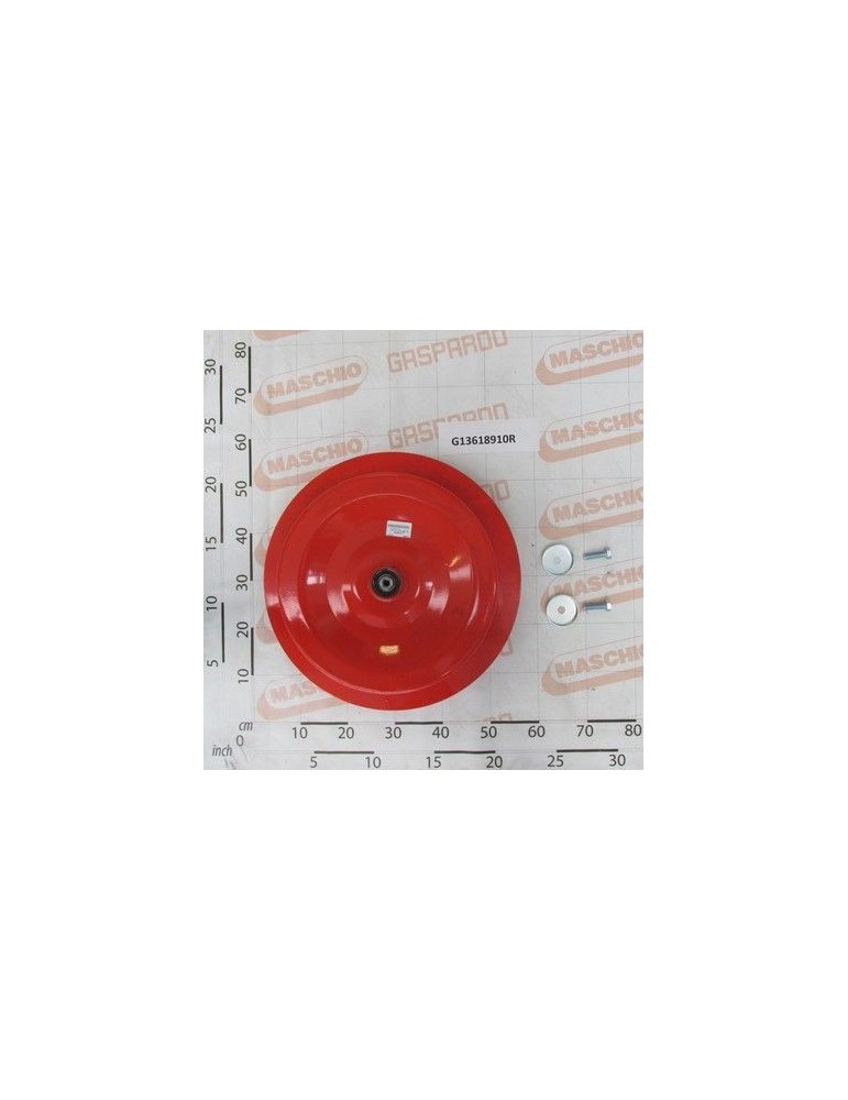 Maschio Gaspardo ROATA HS COMPLETA G13618910R