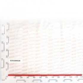 Maschio Gaspardo AX TRANSMISIE L.1185 G15120431R