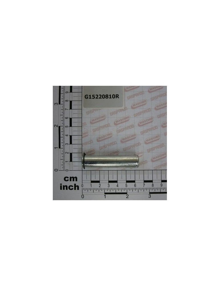 Maschio Gaspardo STIFT 14 X 56 ZN G15220810R
