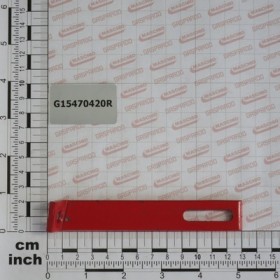 REAR REINFORCEMENT