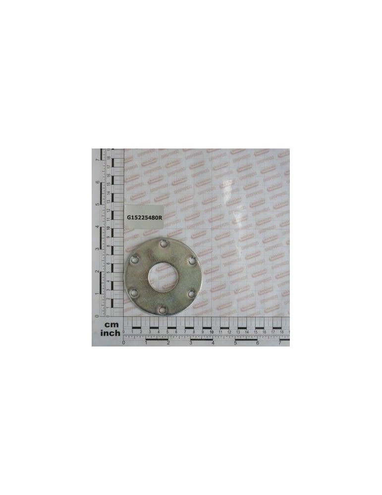 Maschio Gaspardo FLANSA INT. DISC PROT. ZN G15225480R