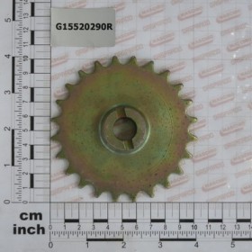 Z-24 PINION