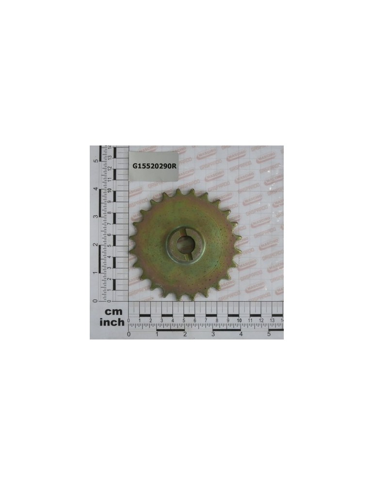 Z-24 PINION