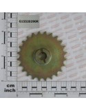 Z-24 PINION
