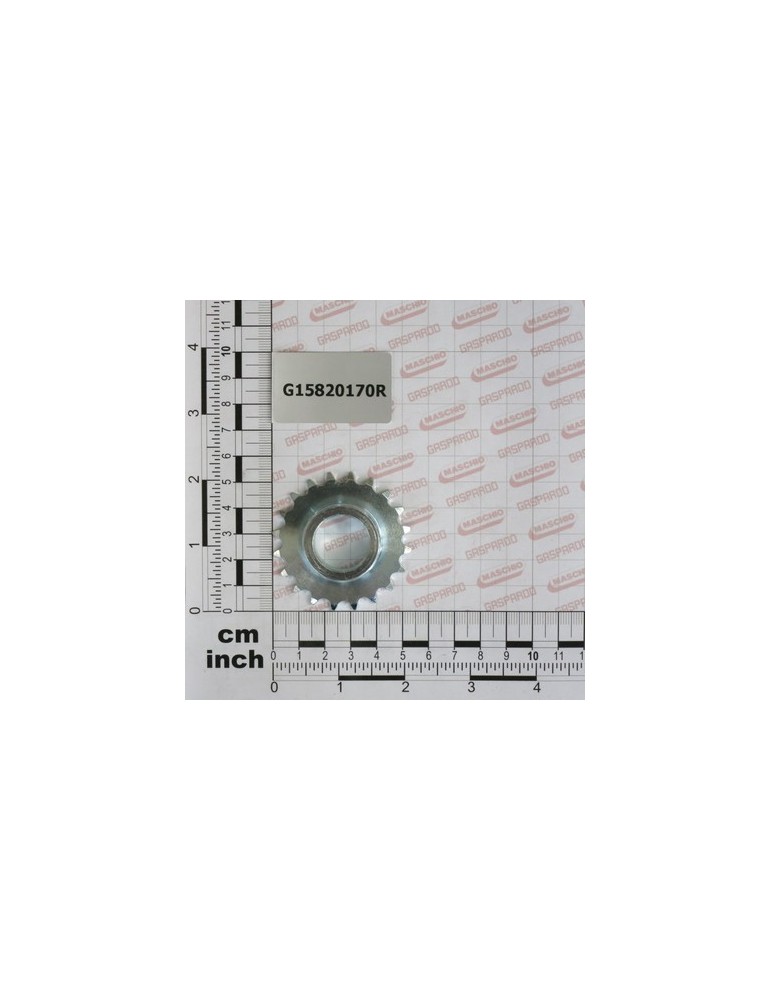 Z20 GALVANIS. GEAR