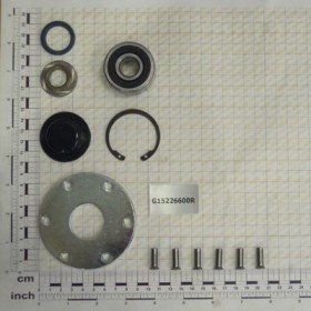Maschio Gaspardo Kit Disc G15226600R