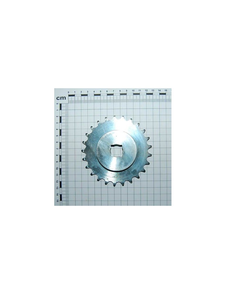 Maschio Gaspardo PIGNONE Z25 1/2-3/16 Q.16,4 ZN G15231810R