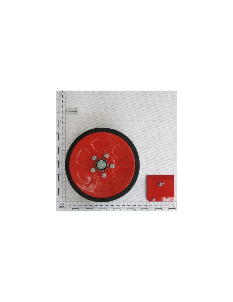 RUBB. WHEEL ASSEMBLY D.250X100