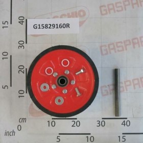 WHEEL 250X170 COMPL.