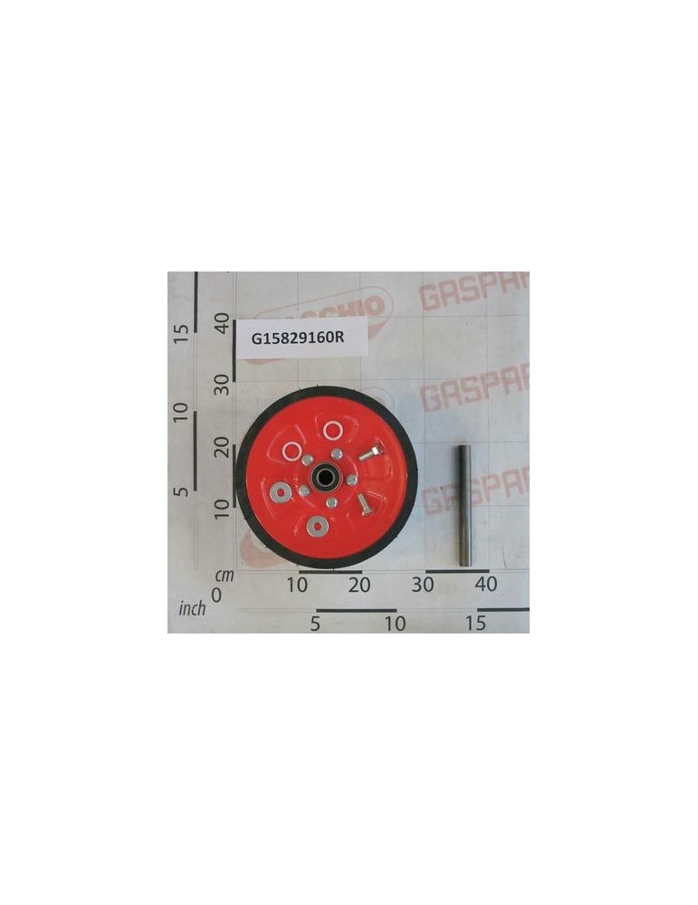 WHEEL 250X170 COMPL.