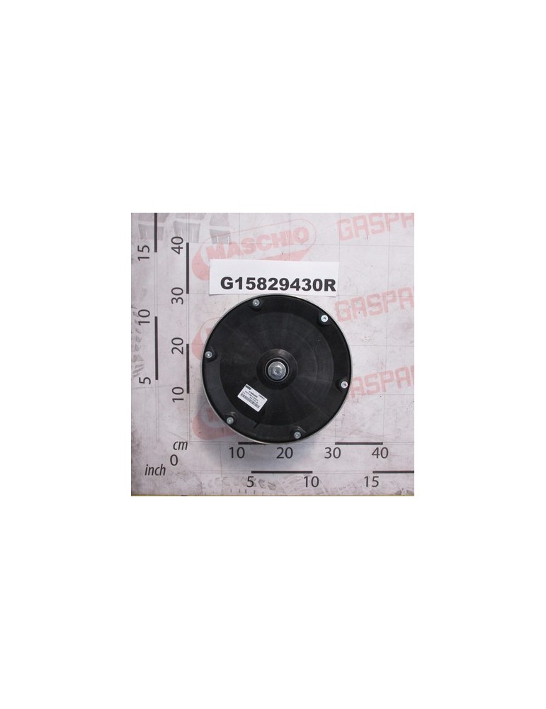WHEEL INOX D.250X100 FL.