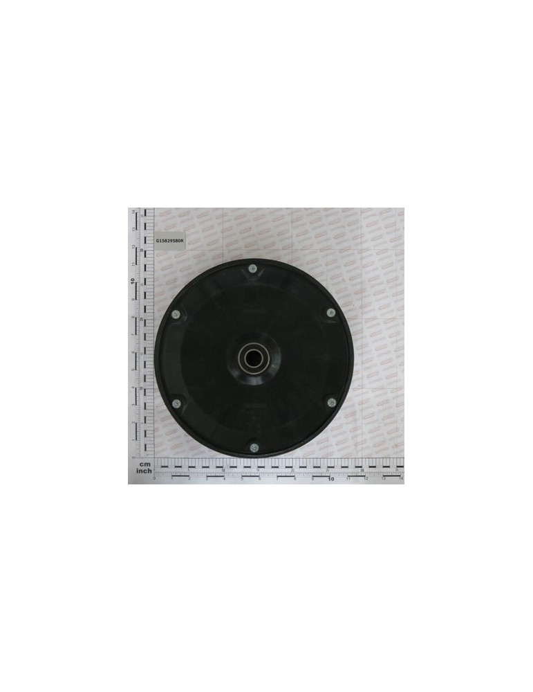 RUBBER WHEEL D.250X100 FL.