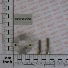 FLANGE WITH BOLTS