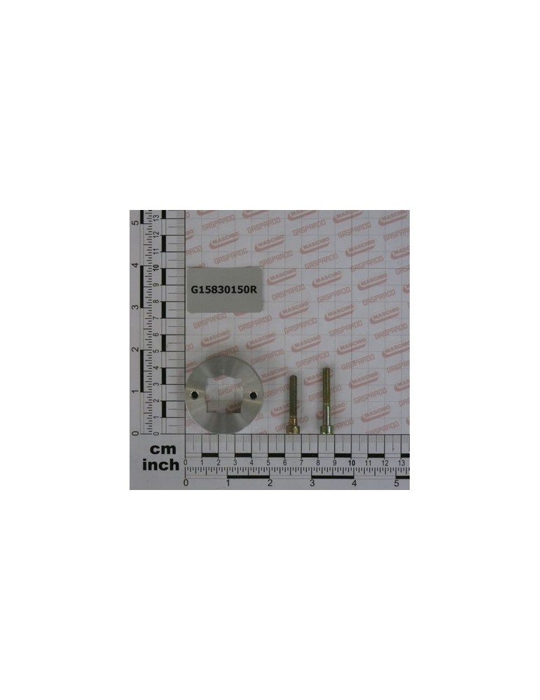 FLANGE WITH BOLTS