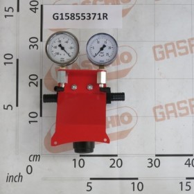 FILTER AND PRESSURE GAUGE UNIT