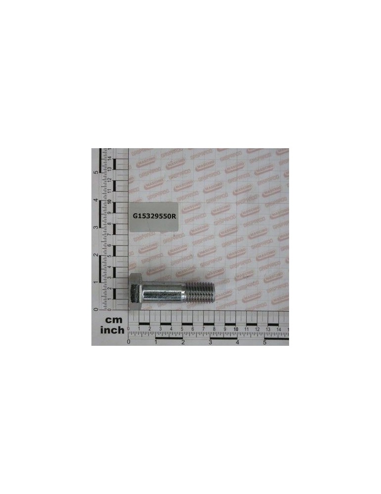 Maschio Gaspardo SURUB SPEC.M20X65 G15329550R