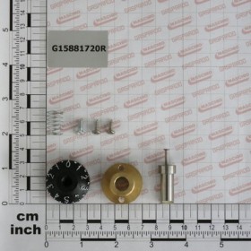 ECCENTRIC SELECTOR COMPL.