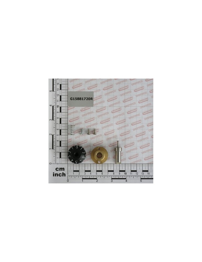 ECCENTRIC SELECTOR COMPL.