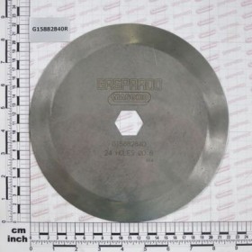 DISK FS  24F D.0,8 S.PIO.R