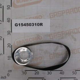 Maschio Gaspardo FULIE GHIDARE 1000 ROTATII G15450310R