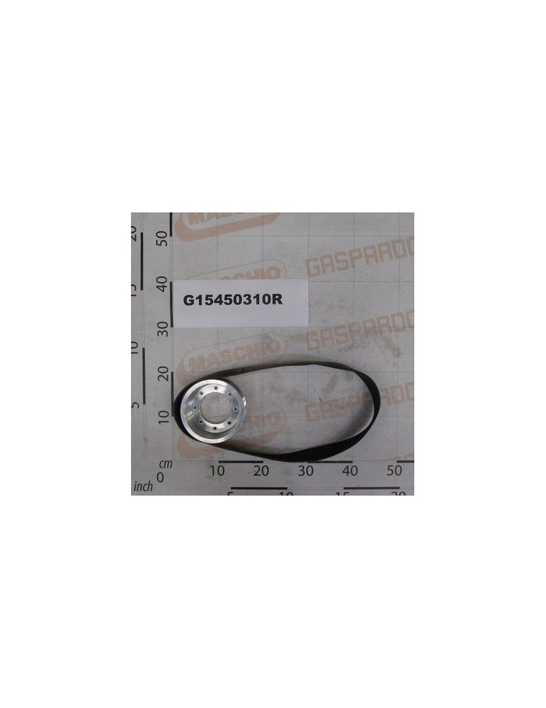 Maschio Gaspardo FULIE GHIDARE 1000 ROTATII G15450310R