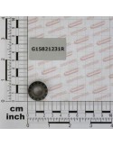 Maschio Gaspardo PINION Z14 G15821231R