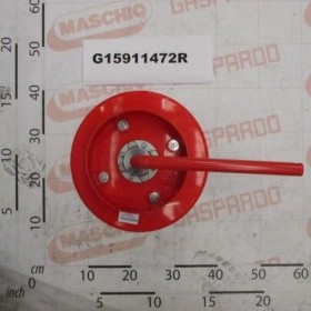 Maschio Gaspardo MONTAJ DISC CU LIMITATOR D320 G15911472R