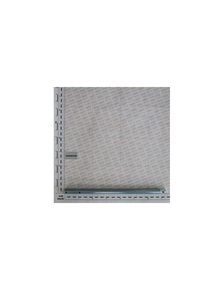 Maschio Gaspardo SURUB REGLARE TPN 20 ZN G16018710R