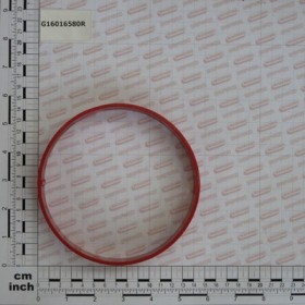 SUPPORTING RING