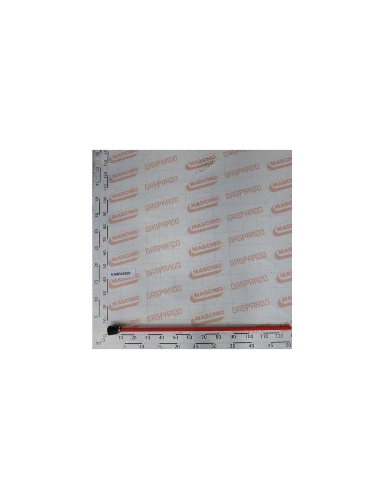 Maschio Gaspardo CARDAN UNIV. DISTRIBUTIE G16030690R