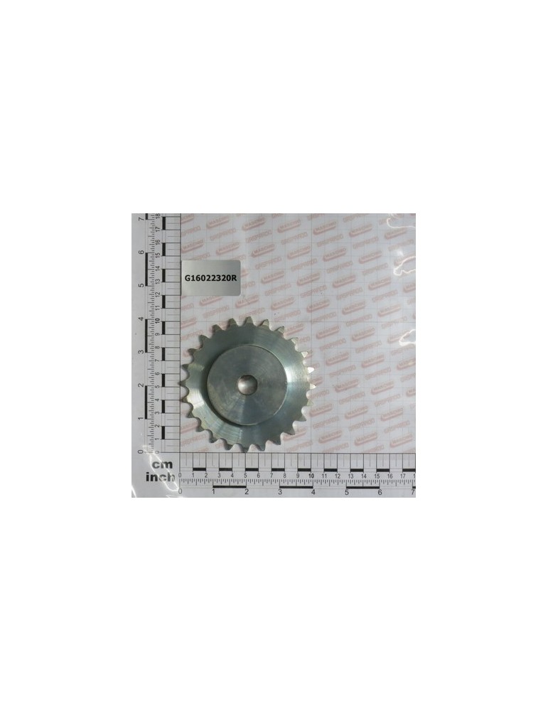PINION Z24 1/2-3/16 D.15 ZN
