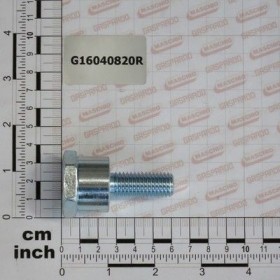 Maschio Gaspardo Ax Disc G16040820R