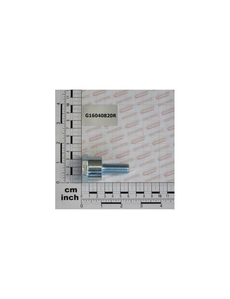 Maschio Gaspardo Ax Disc G16040820R