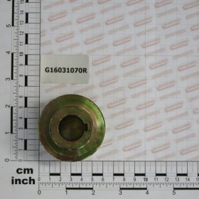 DRIVEN PULLEY D.60