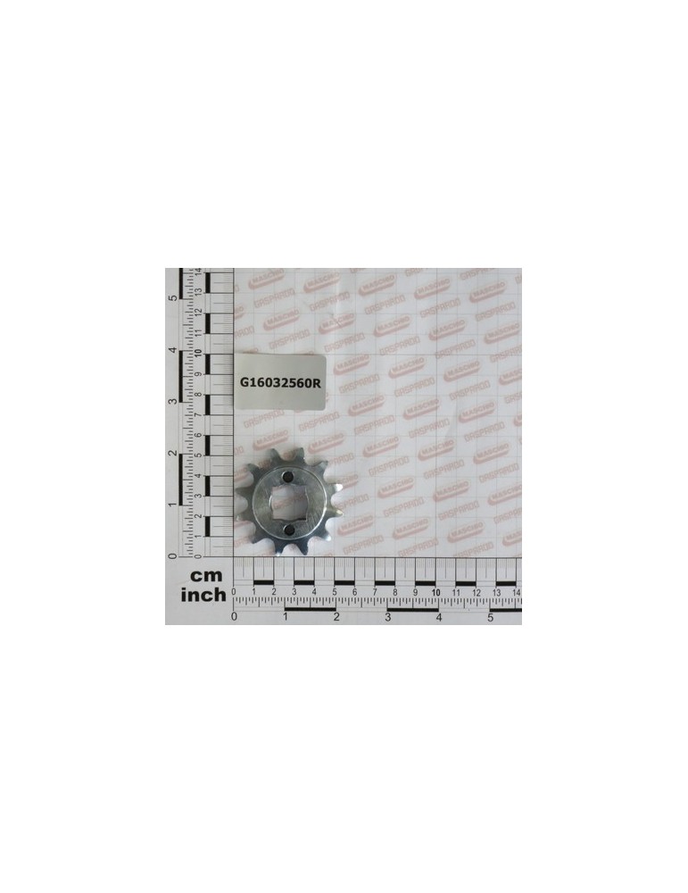 PINION Z12 Q.16,4