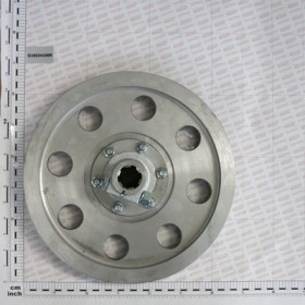 COMPL. DRIVING PULLEY 1000 G.