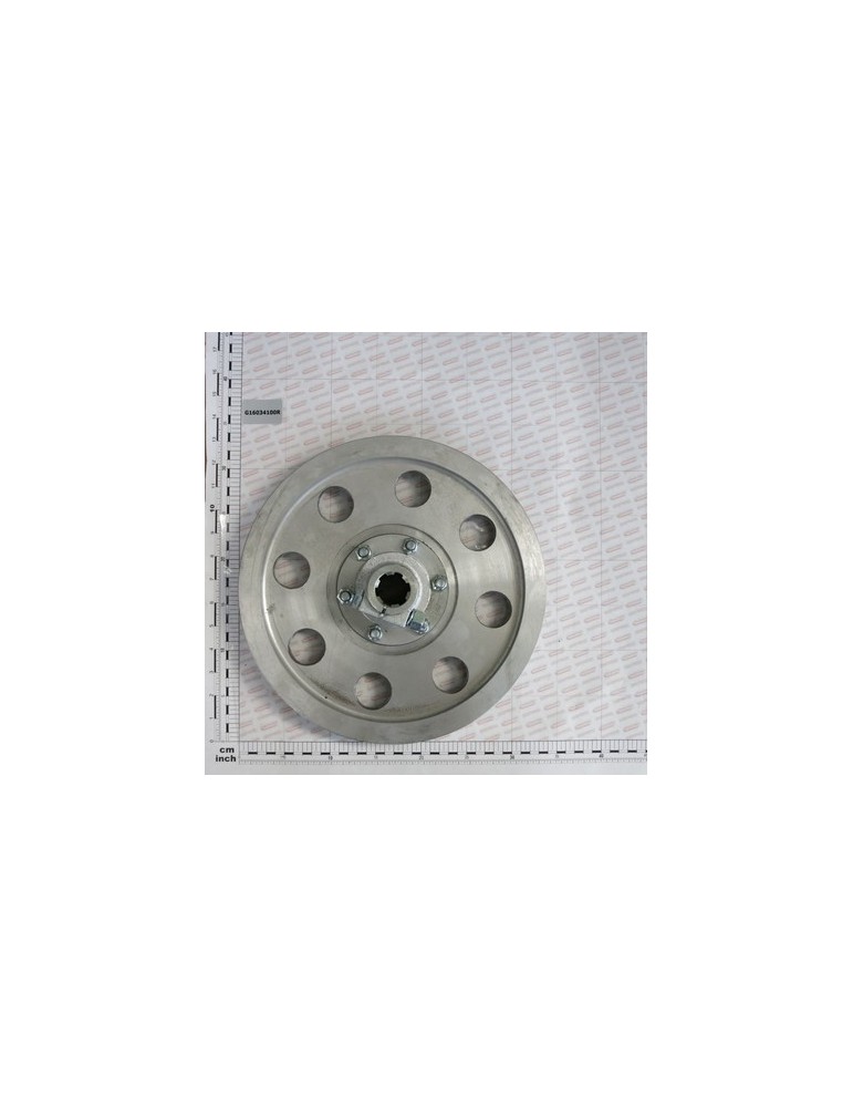 COMPL. DRIVING PULLEY 1000 G.