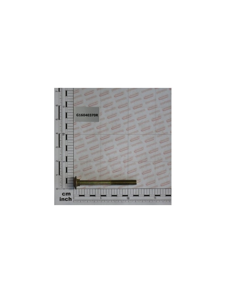 LONG PLANT. SHOE TUBE BOLT ZN